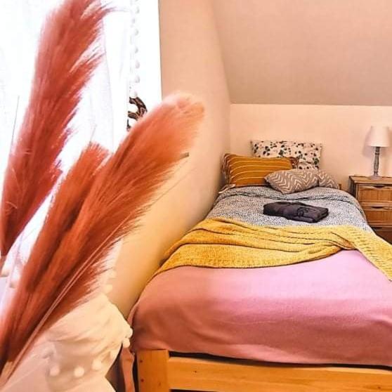 Sobieski Ptasi Raj Mońki Kültér fotó